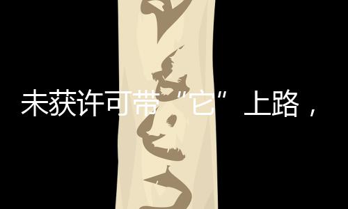 未獲許可帶“它”上路,海寧一司機被罰3萬元!