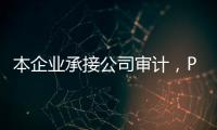 本企業承接公司審計，PPP 審計等各種審計