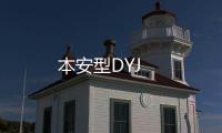 本安型DYJ