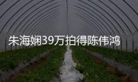 朱海嫻39萬拍得陳偉鴻新書《驚鴻一瞥》