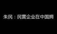 朱民：民營企業在中國擁有廣闊機遇 智能化引領未來