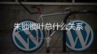 朱鎖鎖葉總什么關系