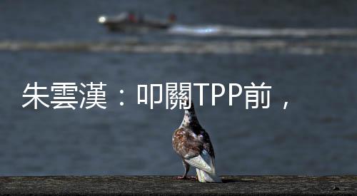 朱雲漢：叩關TPP前，臺灣還有兩關｜天下雜誌