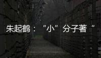 朱起鶴：“小”分子著“大”文章—新聞—科學網