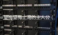 望梅望梅止渴的主人公（望梅止渴的主人公）