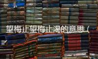 望梅止望梅止渴的意思（望梅止渴的意思）