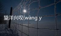 望洋興嘆(wàng yáng xīng tàn)的底層邏輯是什么?