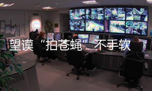 望謨“拍蒼蠅”不手軟 2014年27名基層黨員被查處