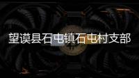 望謨縣石屯鎮石屯村支部書記周開益、村委會原主任黃泰悟被立案調查