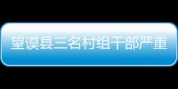 望謨縣三名村組干部嚴重違紀被立案調查