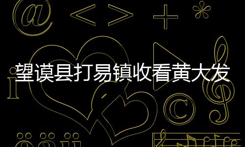 望謨縣打易鎮收看黃大發“時代楷模發布廳”節目