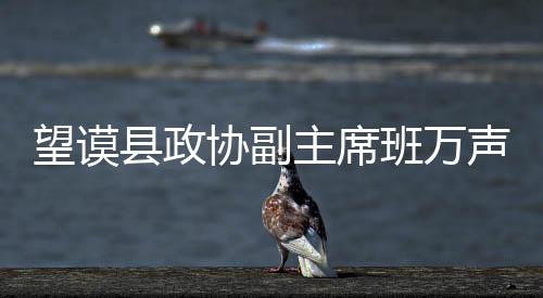 望謨縣政協副主席班萬聲接受組織調查