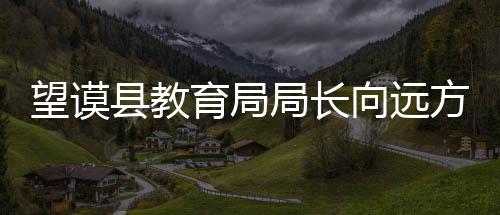 望謨縣教育局局長向遠方接受組織調查