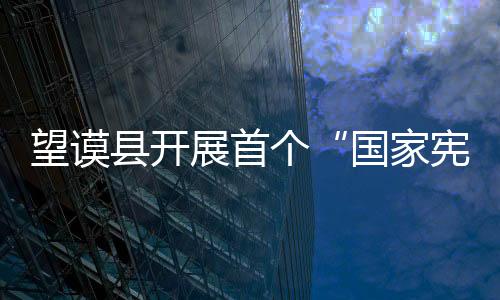 望謨縣開展首個“國家憲法日”暨全國法制宣傳日宣傳活動
