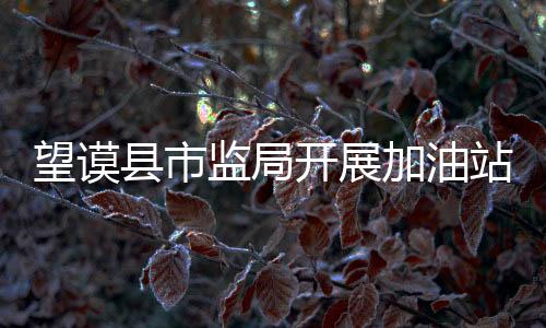 望謨縣市監局開展加油站油品質量、計量整治專項工作