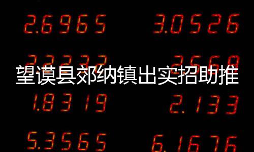 望謨縣郊納鎮出實招助推遍訪工作
