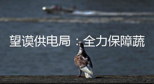 望謨供電局：全力保障蔬菜大棚冬季安全用電