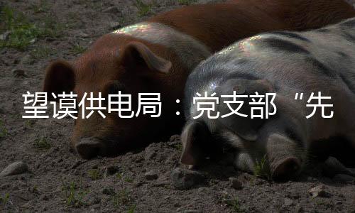 望謨供電局：黨支部“先鋒工程”加速推進(jìn)望安高速建設(shè)