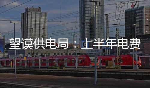 望謨供電局：上半年電費回收“顆粒歸倉”