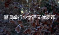 望謨舉行小學語文優質課評比活動
