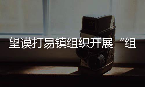 望謨打易鎮組織開展“組組通”項目工程建設安全專項檢查
