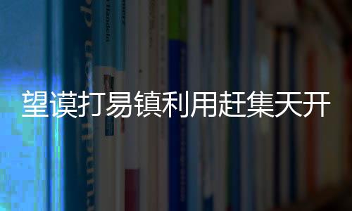 望謨打易鎮利用趕集天開展安全生產綜合宣傳教育活動