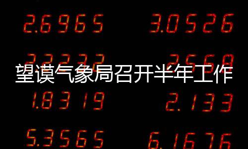 望謨氣象局召開半年工作總結會