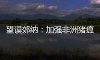 望謨郊納：加強(qiáng)非洲豬瘟防控 保護(hù)群眾財(cái)產(chǎn)安全