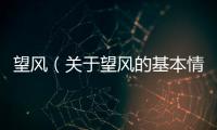 望風（關于望風的基本情況說明介紹）