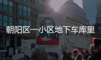 朝陽區(qū)一小區(qū)地下車庫里跳蚤泛濫成災(zāi) 居民被咬得滿腿是包