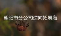 朝陽市分公司逆向拓展海淘市場取得新突破