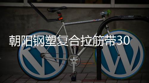 朝陽鋼塑復(fù)合拉筋帶30020B批發(fā)價格