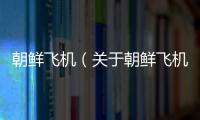 朝鮮飛機（關于朝鮮飛機的基本情況說明介紹）