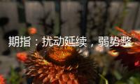 期指：擾動延續(xù)，弱勢整固