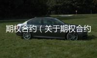 期權合約（關于期權合約的基本情況說明介紹）