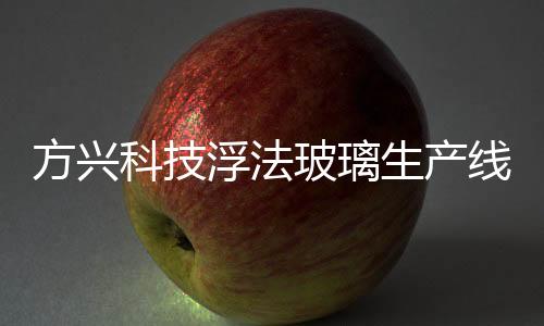 方興科技浮法玻璃生產(chǎn)線復(fù)產(chǎn),企業(yè)新聞