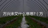 方興未艾什么意思?（方興未艾的意思是什么）