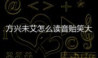 方興未艾怎么讀音貽笑大方（方興未艾怎么讀音）