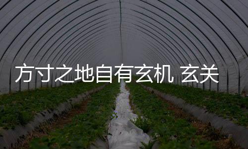 方寸之地自有玄機 玄關裝修需材料點睛