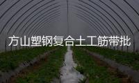 方山塑鋼復(fù)合土工筋帶批發(fā)價格