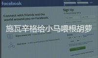 施瓦辛格給小馬喂根胡蘿卜都有人追捧，視頻點擊已超過兩百萬