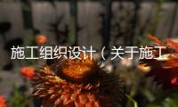 施工組織設計（關(guān)于施工組織設計的基本情況說明介紹）
