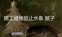 施工縫橡膠止水條 膩?zhàn)酉鹉z止水條10*20樁頭專用