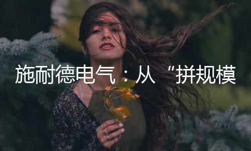 施耐德電氣：從“拼規(guī)模”到“創(chuàng)價(jià)值”，新能源轉(zhuǎn)型亟需雙輪驅(qū)動(dòng)