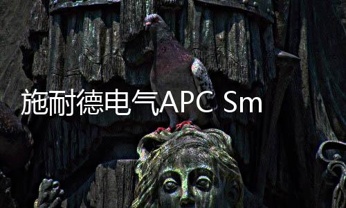 施耐德電氣APC Smart