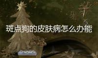 斑點狗的皮膚病怎么辦能治好嗎？斑點狗的皮膚是什么顏色