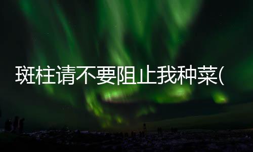 斑柱請不要阻止我種菜(關于斑柱請不要阻止我種菜簡述)