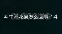 斗牛不吃食怎么回事？斗牛突然不吃飯了