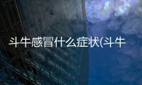斗牛感冒什么癥狀(斗牛喂什么藥有耐力)