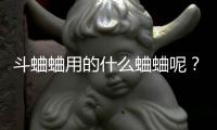 斗蛐蛐用的什么蛐蛐呢？斗蛐蛐用什么工具